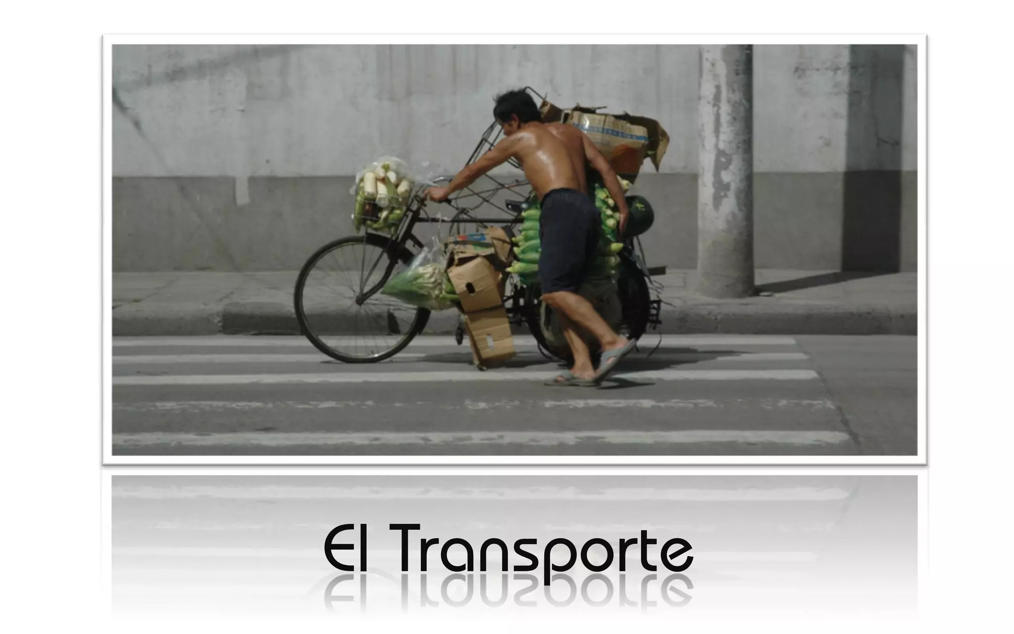 El Transporte
 