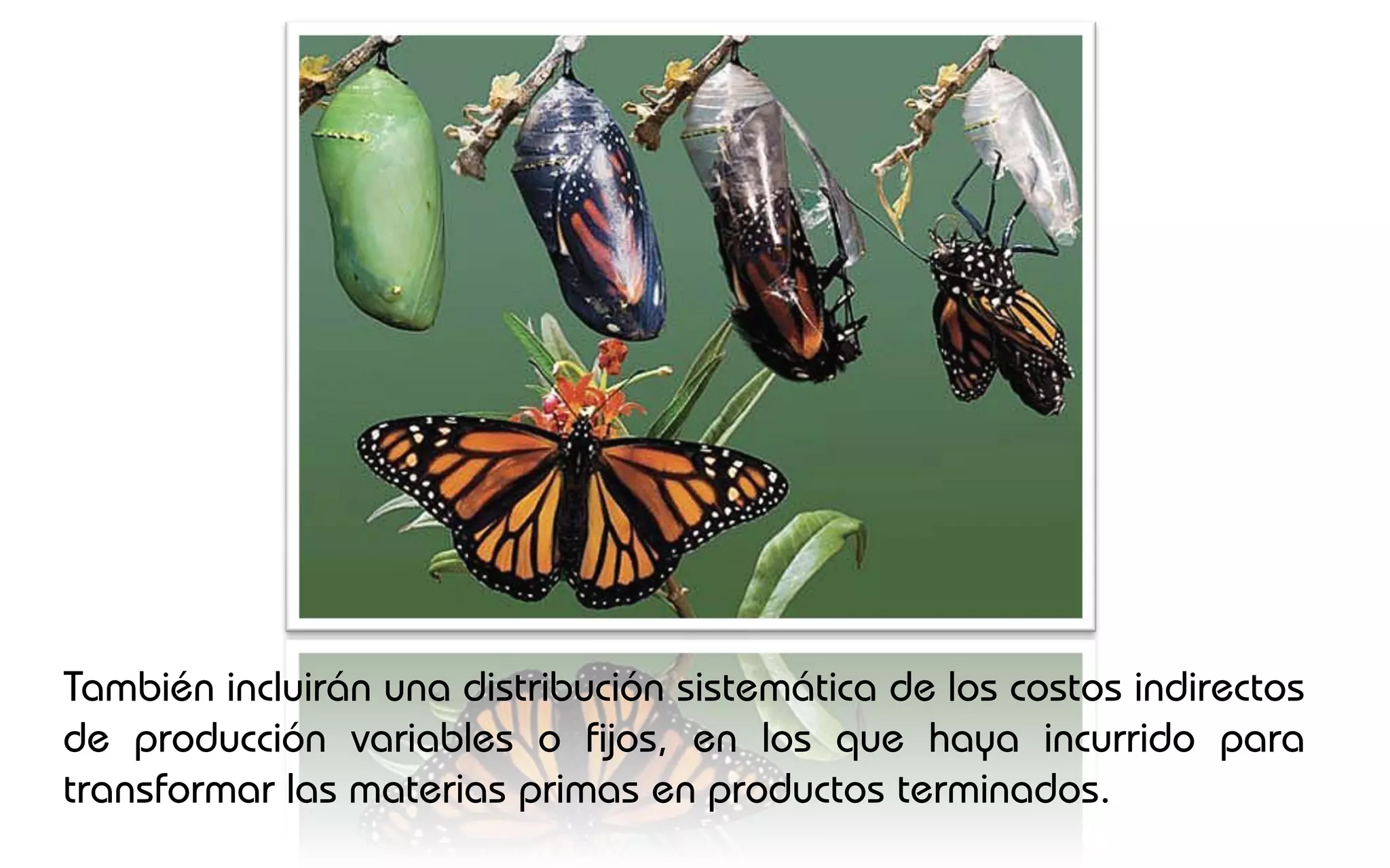 También incluirán una distribución sistemática de los costos indirectos
de producción variables o fijos, en los que haya incurrido para
transformar las materias primas en productos terminados.
 