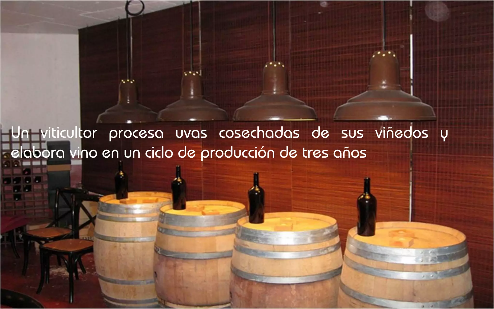 Un viticultor procesa uvas cosechadas de sus viñedos y
elabora vino en un ciclo de producción de tres años
 