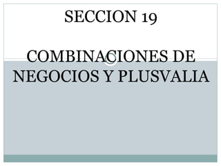   SECCION 19 COMBINACIONES DE NEGOCIOS Y PLUSVALIA 
