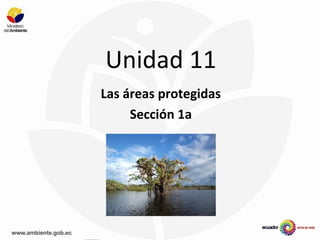 Unidad 11
Las áreas protegidas
Sección 1a
 