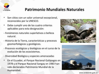 Patrimonio Mundiales Naturales
• Son sitios con un valor universal excepcional,
reconocidos por la UNESCO.
• Debe cumplir uno de los cuatro criterios
aplicables para esta designación:
- Fenómenos naturales superlativos o belleza
natural.
- Historia de la Tierra, características y procesos
geomorfológicos y geológicos.
- Procesos ecológicos y biológicos en el curso de la
evolución de los ecosistemas.
- Diversidad Biológica y especies amenazadas
• En el Ecuador, el Parque Nacional Galápagos en
1978 y el Parque Nacional Sangay en 1983 han
sido declarados Patrimonio Mundial de la
Humanidad.