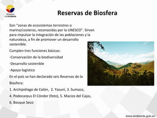 Reservas de Biosfera
Son “zonas de ecosistemas terrestres o
marino/costeros, reconocidas por la UNESCO". Sirven
para impulsar la integración de las poblaciones y la
naturaleza, a fin de promover un desarrollo
sostenible.
Cumplen tres funciones básicas:
-Conservación de la biodiversidad
-Desarrollo sostenible
-Apoyo logístico
En el país se han declarado seis Reservas de la
Biosfera:
1. Archipiélago de Colón, 2. Yasuní, 3. Sumaco,
4. Podocarpus El Cóndor (foto), 5. Macizo del Cajas,
6. Bosque Seco