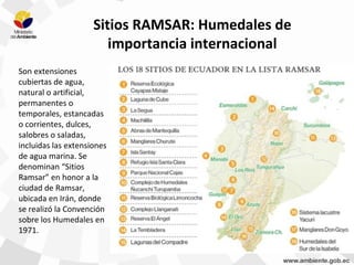 Sitios RAMSAR: Humedales de
importancia internacional
Son extensiones
cubiertas de agua,
natural o artificial,
permanentes o
temporales, estancadas
o corrientes, dulces,
salobres o saladas,
incluidas las extensiones
de agua marina. Se
denominan “Sitios
Ramsar” en honor a la
ciudad de Ramsar,
ubicada en Irán, donde
se realizó la Convención
sobre los Humedales en
1971.