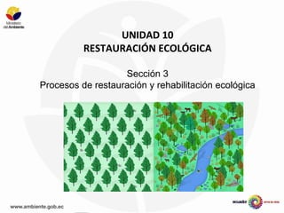 UNIDAD 10
RESTAURACIÓN ECOLÓGICA
Sección 3
Procesos de restauración y rehabilitación ecológica
 