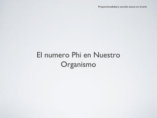 Proporcionalidad y sección áurea en el arte




El numero Phi en Nuestro
       Organismo
 