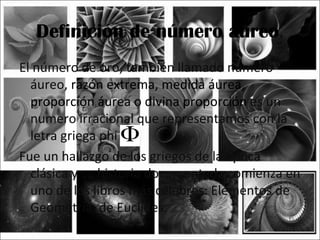 Definición de número áureo.
El número de oro, también llamado numero
  áureo, razón extrema, medida áurea,
  proporción áurea o divina proporción es un
  numero irracional que representamos con la
  letra griega phi
Fue un hallazgo de los griegos de la época
  clásica y su historia documentada comienza en
  uno de los libros más célebres: Elementos de
  Geometría, de Euclides.
 