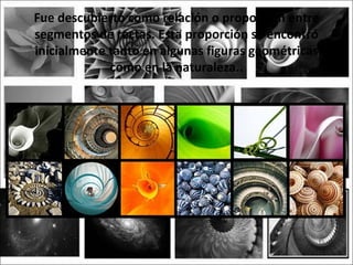 Fue descubierto como relación o proporción entre
segmentos de rectas. Esta proporción se encontró
inicialmente tanto en algunas figuras geométricas
             como en la naturaleza..
 