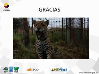 GRACIAS
 