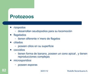 Principios Básicos De La Microbiología Médica | PPT