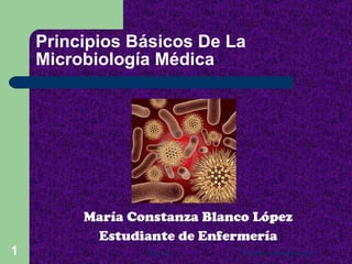 Principios Básicos De La Microbiología Médica ,[object Object],[object Object],30/01/12 Rodolfo Norambuena A. 