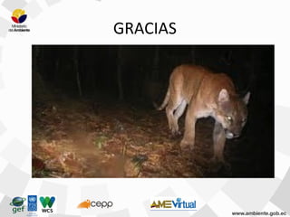 GRACIAS
 