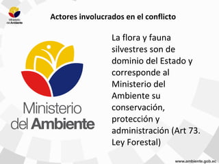 Actores involucrados en el conflicto
La flora y fauna
silvestres son de
dominio del Estado y
corresponde al
Ministerio del
Ambiente su
conservación,
protección y
administración (Art 73.
Ley Forestal)
 