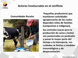 Actores involucrados en el conflicto
Comunidades Rurales
Pequeños productores que
mantienen actividades
agropecuarias de las cuales
dependen miles de familias
(campesinos o indígenas).
Sus animales (vacas para la
producción de carne y leche)
son pastoreados en pastizales
y pasan la mayor parte del
tiempo a la intemperie. Los
cuidados se limitan a medidas
inmunológicas y de
desparasitación.
 