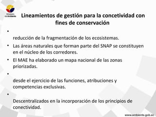 Lineamientos de gestión para la concetividad con
fines de conservación
•
reducción de la fragmentación de los ecosistemas.
• Las áreas naturales que forman parte del SNAP se constituyen
en el núcleo de los corredores.
• El MAE ha elaborado un mapa nacional de las zonas
priorizadas.
•
desde el ejercicio de las funciones, atribuciones y
competencias exclusivas.
•
Descentralizados en la incorporación de los principios de
conectividad.
 