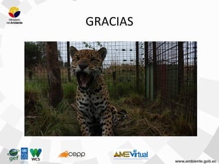 GRACIAS
 