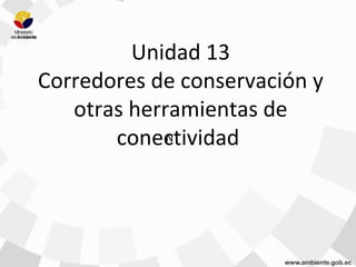 Unidad 13
Corredores de conservación y
otras herramientas de
conectividadN
 