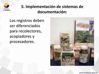 5. Implementación de sistemas de
documentación:
Los registros deben
ser diferenciados
para recolectores,
acopiadores y
procesadores.
 