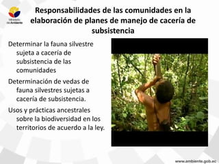 Responsabilidades de las comunidades en la
elaboración de planes de manejo de cacería de
subsistencia
Determinar la fauna silvestre
sujeta a cacería de
subsistencia de las
comunidades
Determinación de vedas de
fauna silvestres sujetas a
cacería de subsistencia.
Usos y prácticas ancestrales
sobre la biodiversidad en los
territorios de acuerdo a la ley.
 