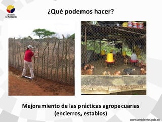 Mejoramiento de las prácticas agropecuarias
(encierros, establos)
¿Qué podemos hacer?
 
