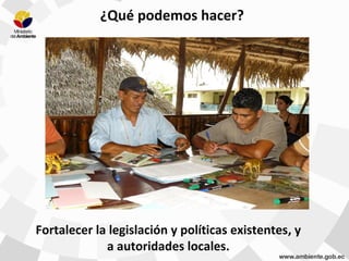 Fortalecer la legislación y políticas existentes, y
a autoridades locales.
¿Qué podemos hacer?
 