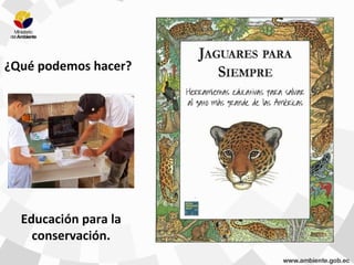 Educación para la
conservación.
¿Qué podemos hacer?
 