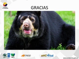 GRACIAS
 