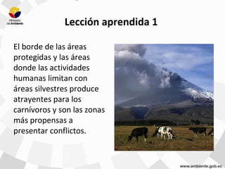 Lección aprendida 1
El borde de las áreas
protegidas y las áreas
donde las actividades
humanas limitan con
áreas silvestres produce
atrayentes para los
carnívoros y son las zonas
más propensas a
presentar conflictos.
 