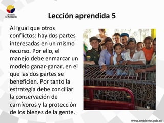 Lección aprendida 5
Al igual que otros
conflictos: hay dos partes
interesadas en un mismo
recurso. Por ello, el
manejo debe enmarcar un
modelo ganar-ganar, en el
que las dos partes se
beneficien. Por tanto la
estrategia debe conciliar
la conservación de
carnívoros y la protección
de los bienes de la gente.
 