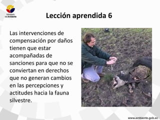 Lección aprendida 6
Las intervenciones de
compensación por daños
tienen que estar
acompañadas de
sanciones para que no se
conviertan en derechos
que no generan cambios
en las percepciones y
actitudes hacia la fauna
silvestre.
 