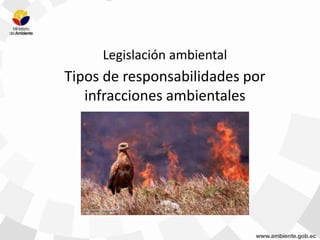 Legislación ambiental
Tipos de responsabilidades por
infracciones ambientales
 