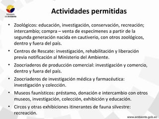 Actividades permitidas
• Zoológicos: educación, investigación, conservación, recreación;
intercambio; compra – venta de especímenes a partir de la
segunda generación nacida en cautiverio, con otros zoológicos,
dentro y fuera del país.
• Centros de Rescate: investigación, rehabilitación y liberación
previa notificación al Ministerio del Ambiente.
• Zoocriaderos de producción comercial: investigación y comercio,
dentro y fuera del país.
• Zoocriaderos de investigación médica y farmacéutica:
investigación y colección.
• Museos faunísticos: préstamo, donación e intercambio con otros
museos, investigación, colección, exhibición y educación.
• Circos y otras exhibiciones itinerantes de fauna silvestre:
recreación.
 