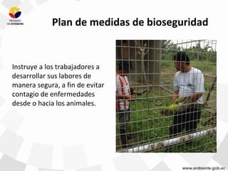 Plan de medidas de bioseguridad
Instruye a los trabajadores a
desarrollar sus labores de
manera segura, a fin de evitar
contagio de enfermedades
desde o hacia los animales.
 