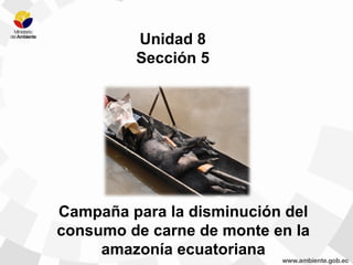 Campaña para la disminución del
consumo de carne de monte en la
amazonía ecuatoriana
Unidad 8
Sección 5
 