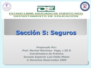 Sección 5: Seguros

            Preparado Por:
 Prof. Marisol Martínez- Vega, c ED D
       Coordinadora de Práctica
  Escuela Superior Luis Palés Matos
    © Derechos Reservados 2009
 