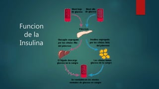Funcion
de la
Insulina
 