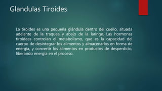 Glandulas Tiroides
La tiroides es una pequeña glándula dentro del cuello, situada
adelante de la traquea y abajo de la laringe. Las hormonas
tiroideas controlan el metabolismo, que es la capacidad del
cuerpo de desintegrar los alimentos y almacenarlos en forma de
energía, y convertir los alimentos en productos de desperdicio,
liberando energía en el proceso.
 