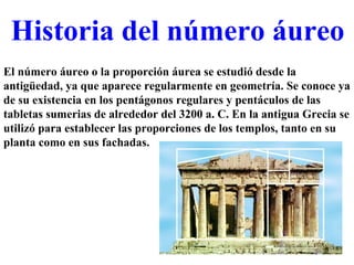 Historia del número áureo El número áureo o la proporción áurea se estudió desde la antigüedad, ya que aparece regularmente en geometría. Se conoce ya de su existencia en los pentágonos regulares y pentáculos de las tabletas sumerias de alrededor del 3200 a. C. En la antigua Grecia se utilizó para establecer las proporciones de los templos, tanto en su planta como en sus fachadas. 