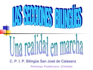 C. P. I. P. Bilingüe San José de Calasanz
Peñarroya- Pueblonuevo (Córdoba)

 