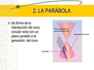 2. LA PARÁBOLA
Se forma de la
intersección del cono
circular recto con un
plano paralelo a la
generatriz del cono
Generatriz del cono
Parábola
Plano paralelo a la
generatriz del cono
 
