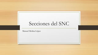 Secciones del SNC
Manuel Molina López
 