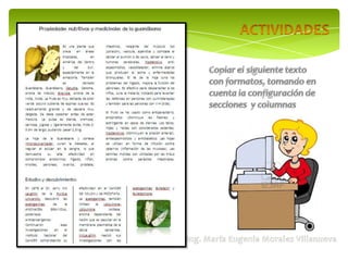 Secciones y columnas