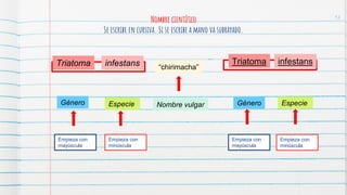 12
Nombre científico
Se escribe en cursiva. Si se escribe a mano va subrayado.
Triatoma infestans “chirimacha”
Género Especie Nombre vulgar
Empieza con
mayúscula
Empieza con
minúscula
infestans
Triatoma
Empieza con
minúscula
Empieza con
mayúscula
Especie
Género
 