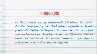 La Clase Insecta, con aproximadamente 1,8 millones de especies
descritas (nominadas) y con 10-20 millones estimadas, es la más
grande del Phylum Arthropoda. La clase Insecta se originó
aproximadamente hace 480 millones de años, en el Ordovícico, al mismo
tiempo que aparecieron las plantas terrestres. Los insectos
evolucionaron a partir de un grupo de crustáceos.
INTRODUCCIÓN
2
 