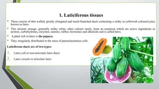 1. Laticiferous tissues
• These consist of thin walled, greatly elongated and much branched ducts containing a milky or yellowish coloured juice
known as latex.
• This mixture storage, generally milky white, other colours rarely, form an emulsion which are active ingredients as
protein, carbohydrates, enzymes, tannins, rubber, hormones and alkaloids and is called latex.
• A plant rich in latex is the papaya.
• They irregularly distributed in the mass of parenchymatous cells.
Laticiferous ducts are of two types:
1. Latex cell or non-articulate latex ducts
2. Latex vessels or articulate latex
 