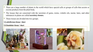 • There are a large number of plants in the world which have special cells or groups of cells that secrete or
excrete prod...