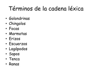 Términos de la cadena léxica
• Golondrinas
• Chingolos
• Focas
• Marmotas
• Erizos
• Escuerzos
• Lagópodos
• Sapos
• Tenca
• Ranas
 