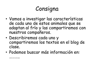 Consigna
• Vamos a investigar las características
de cada uno de estos animales que se
adaptan al frío y las compartiremos con
nuestros compañeros.
• Describiremos cada uno y
compartiremos los textos en el blog de
clase.
• Podemos buscar más información en:
………..
 
