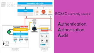 GOSEC currently covers:
Authentication
Authorization
Audit
 