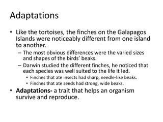 Adaptations
• Like the tortoises, the finches on the Galapagos
Islands were noticeably different from one island
to another.
– The most obvious differences were the varied sizes
and shapes of the birds’ beaks.
– Darwin studied the different finches, he noticed that
each species was well suited to the life it led.
• Finches that ate insects had sharp, needle-like beaks.
• Finches that ate seeds had strong, wide beaks.
• Adaptations- a trait that helps an organism
survive and reproduce.
 